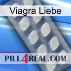 Viagra Love 08